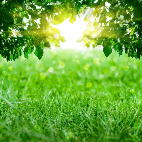 Fotolia 64103516 M klein